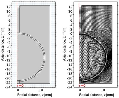 Biomechanical Impact of the Sclera on Corneal Deformation Response to an Air-Puff: A Finite-Element Study